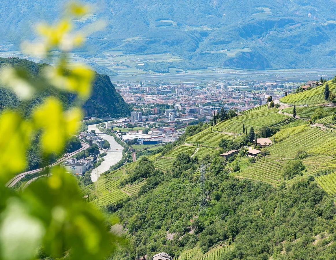 Weingut Schmid Oberrautner Apartment Suites Bozen Exterior foto